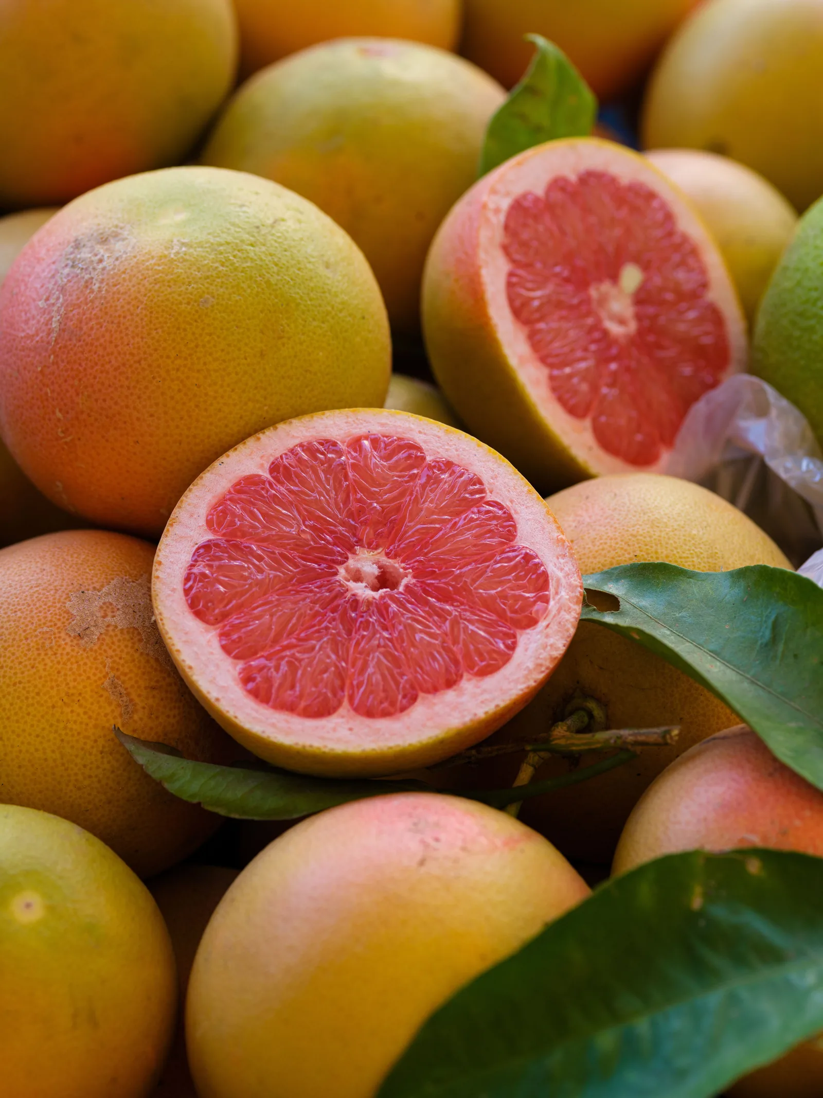 Aufgeschnittene rosa Grapefruit in hellem Licht: die herb-spritzige Zitrusnote moderner Frischedüfte