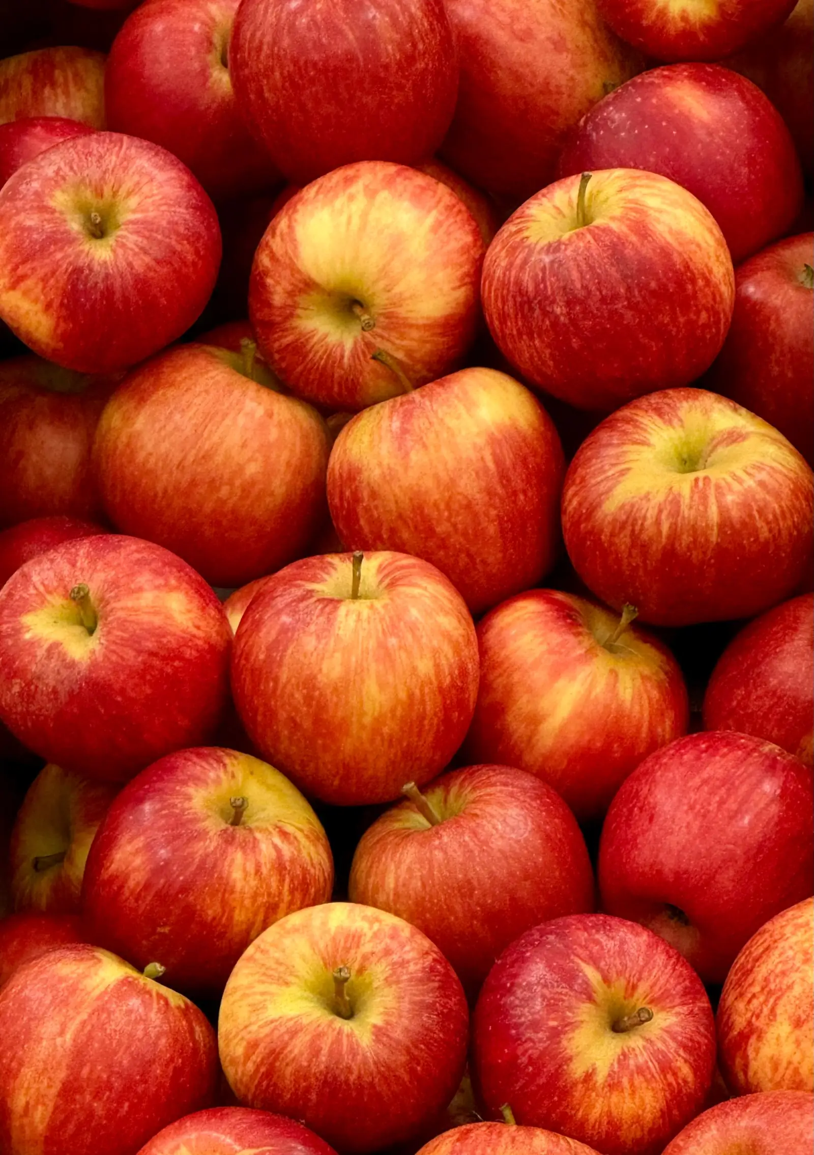 Frisch aufgeschnittene grüne Äpfel: die knackig-frische Fruchtnote moderner Düfte