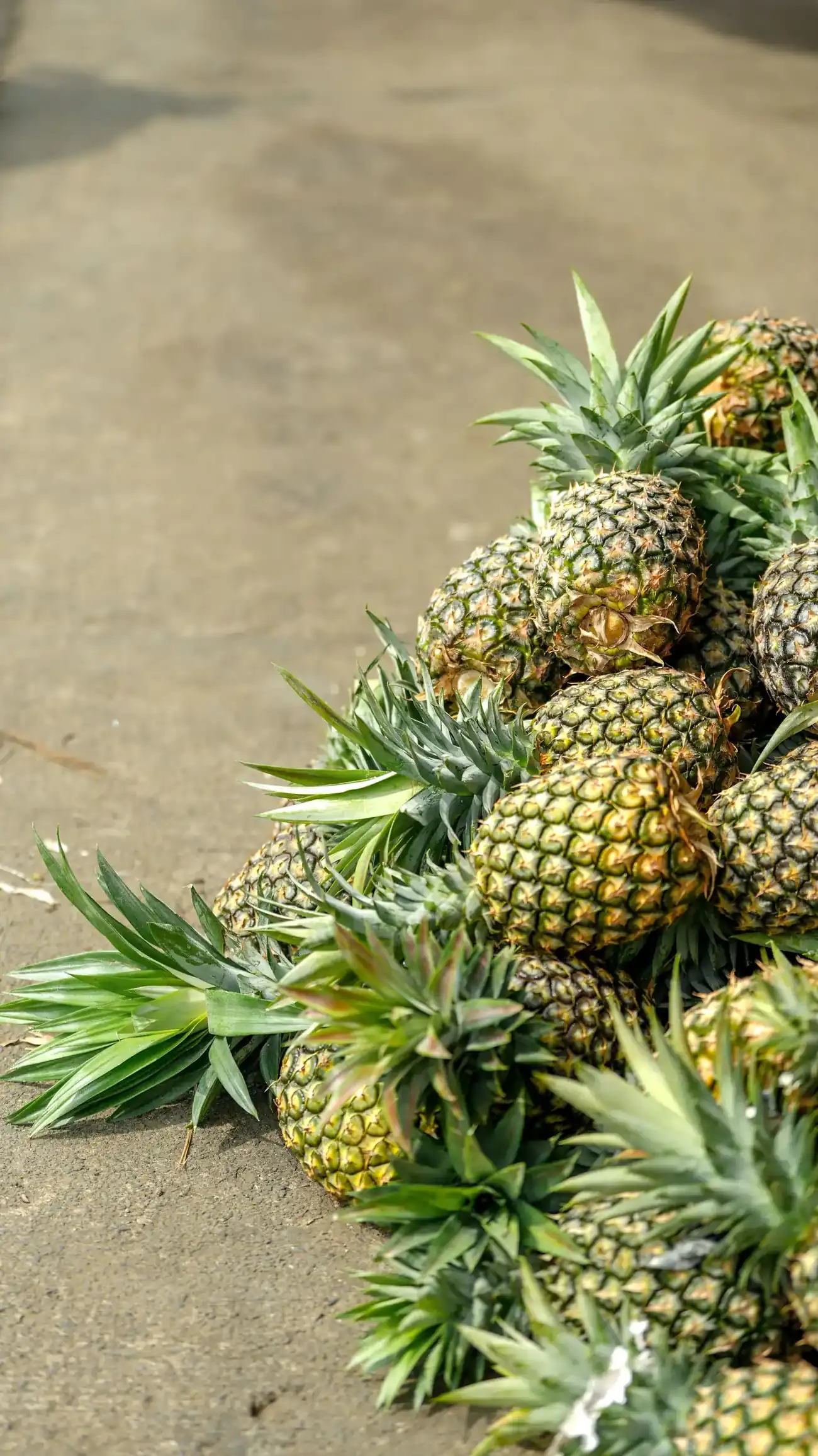 Frisch aufgeschnittene, reife Ananas: die spritzig-exotische Fruchtnote sommerlicher Düfte