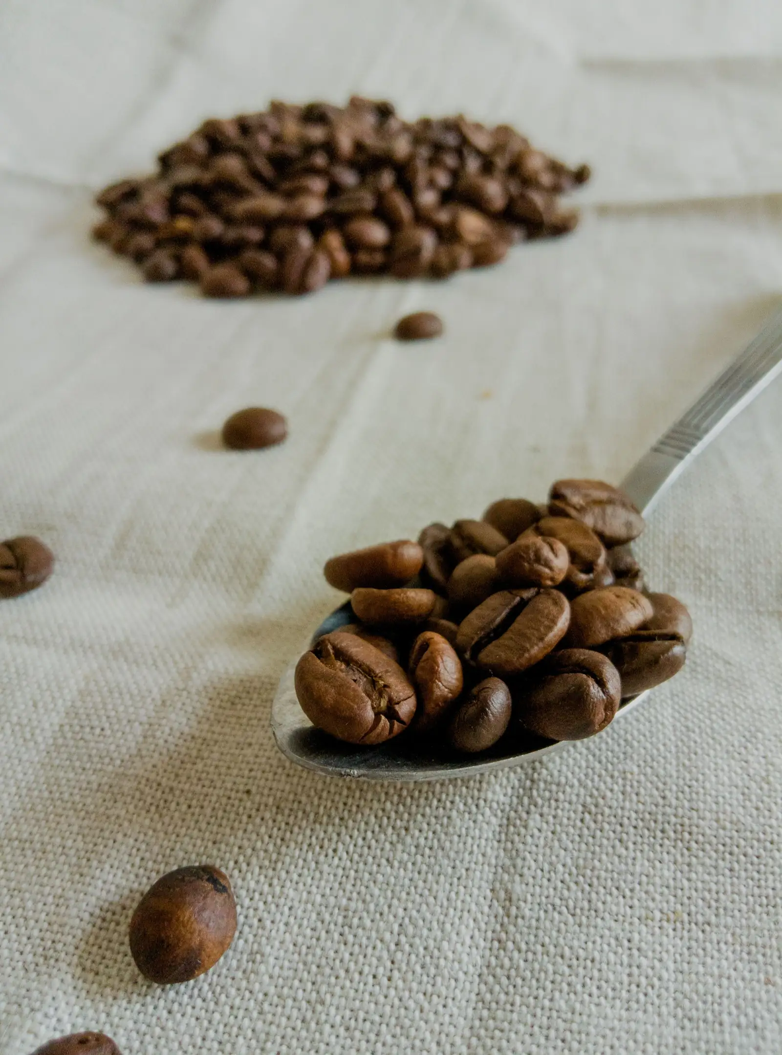 Frisch geröstete Kaffeebohnen: die röstig-warme, belebende Gourmand-Note der Parfümerie