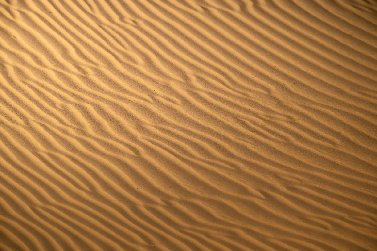 Feiner heller Sand mit Lichtreflexen, daneben ein geöffnetes Parfümflakon in warmem Sonnenlicht